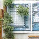 Illustration of a garden design blueprint